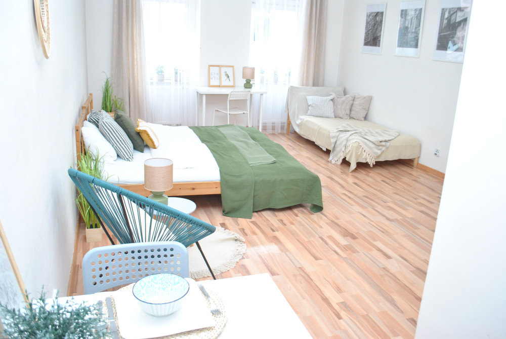 Separate sunny apartment near the centre of Brno preview