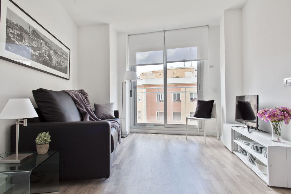 Airy Apartment in Sants preview