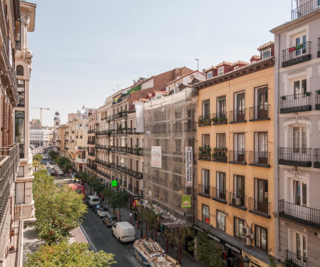 Luminous flat with balconies in the city centre