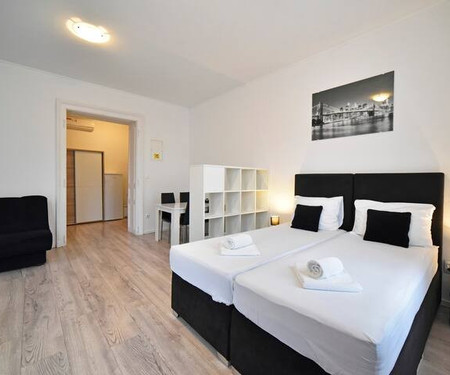 Apartments & Rooms Virtus - Comfort Studio apartment 5
