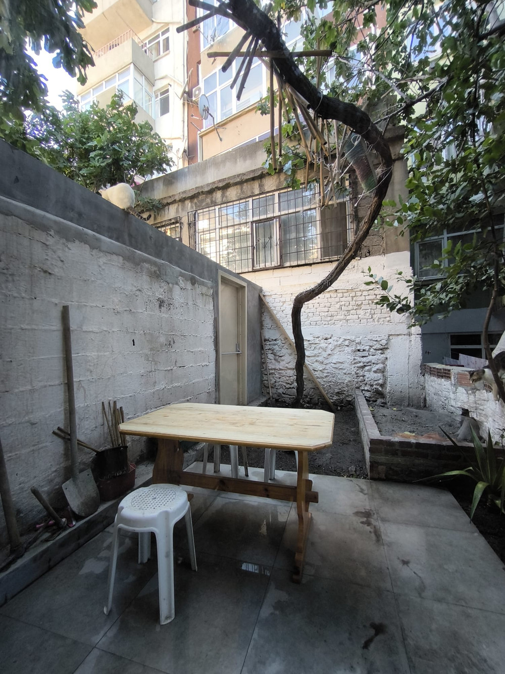 Cozy and historical studio with garden preview