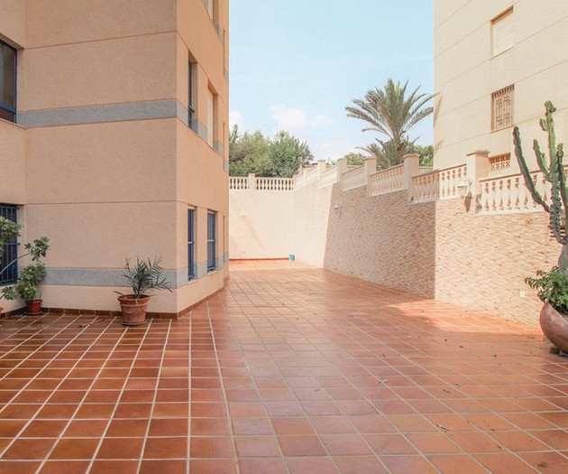 Building courtyard with plants