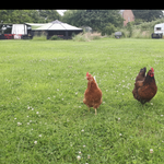Landlords profile photo