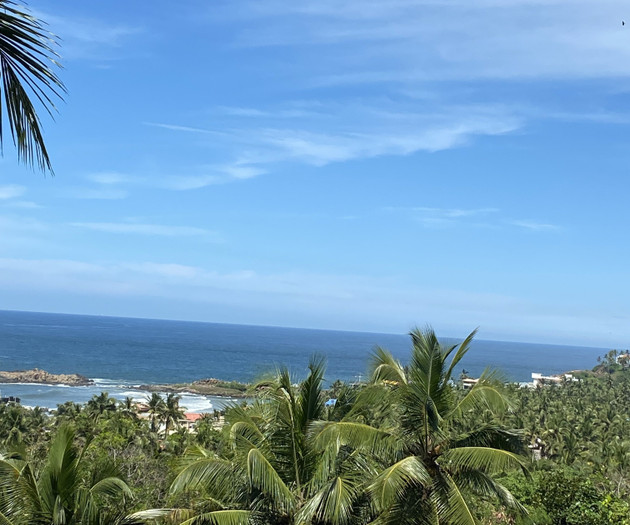 Panoramic ocean and palm view