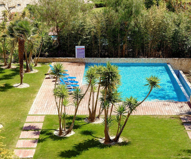 Garden pool surrounded by palm trees