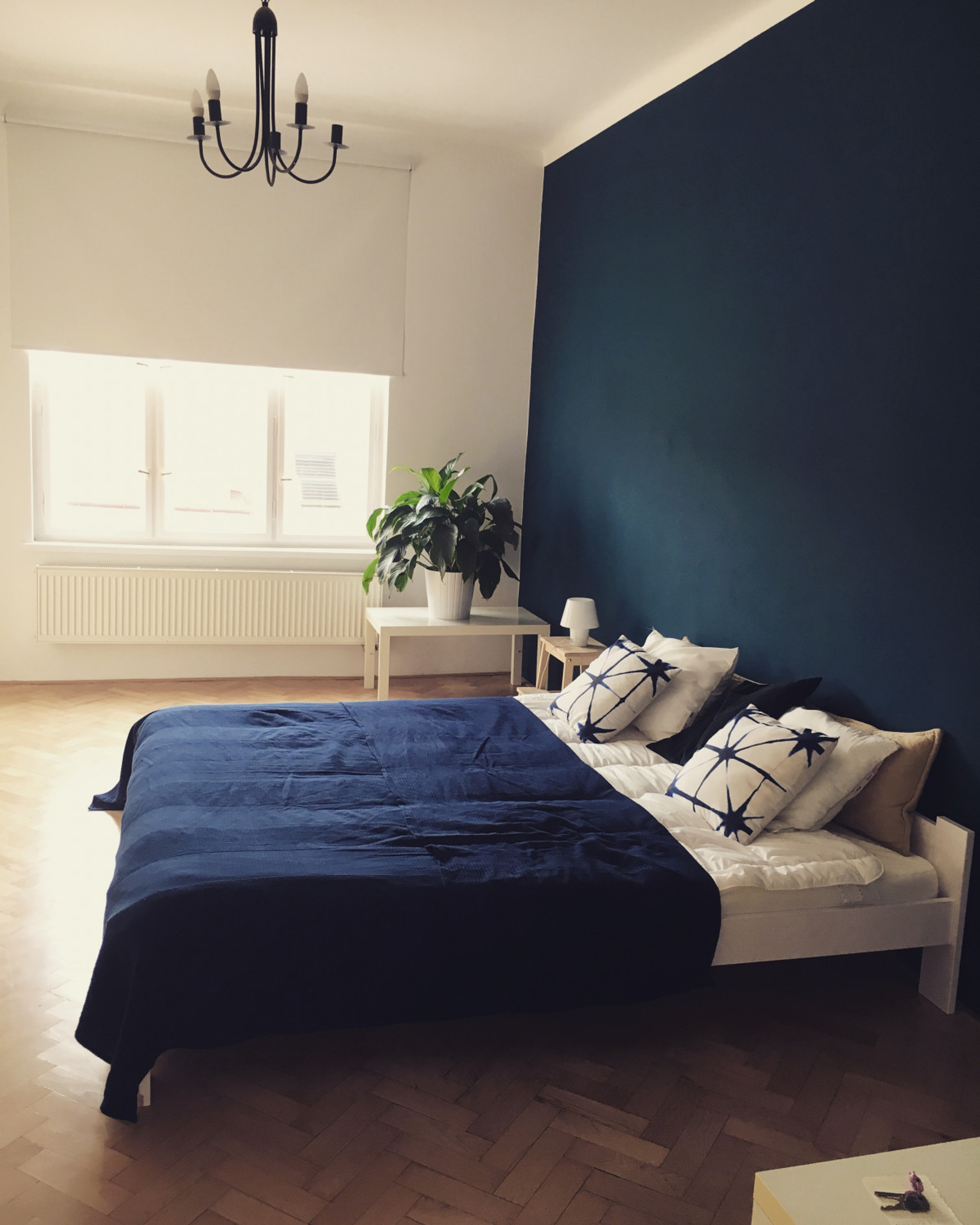 Newly renovated bright and stylish room in historic area of Prague Vinyards