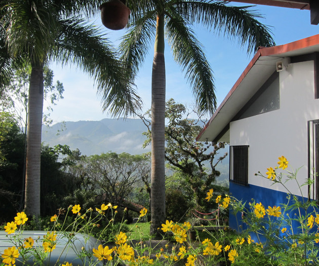 Villa Alas Azules vacation paradise:digital nomads