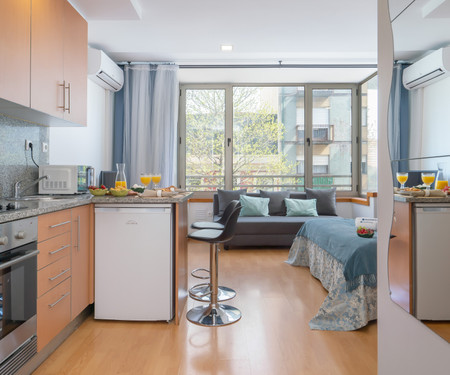 Central Roomy Flat | Terrace