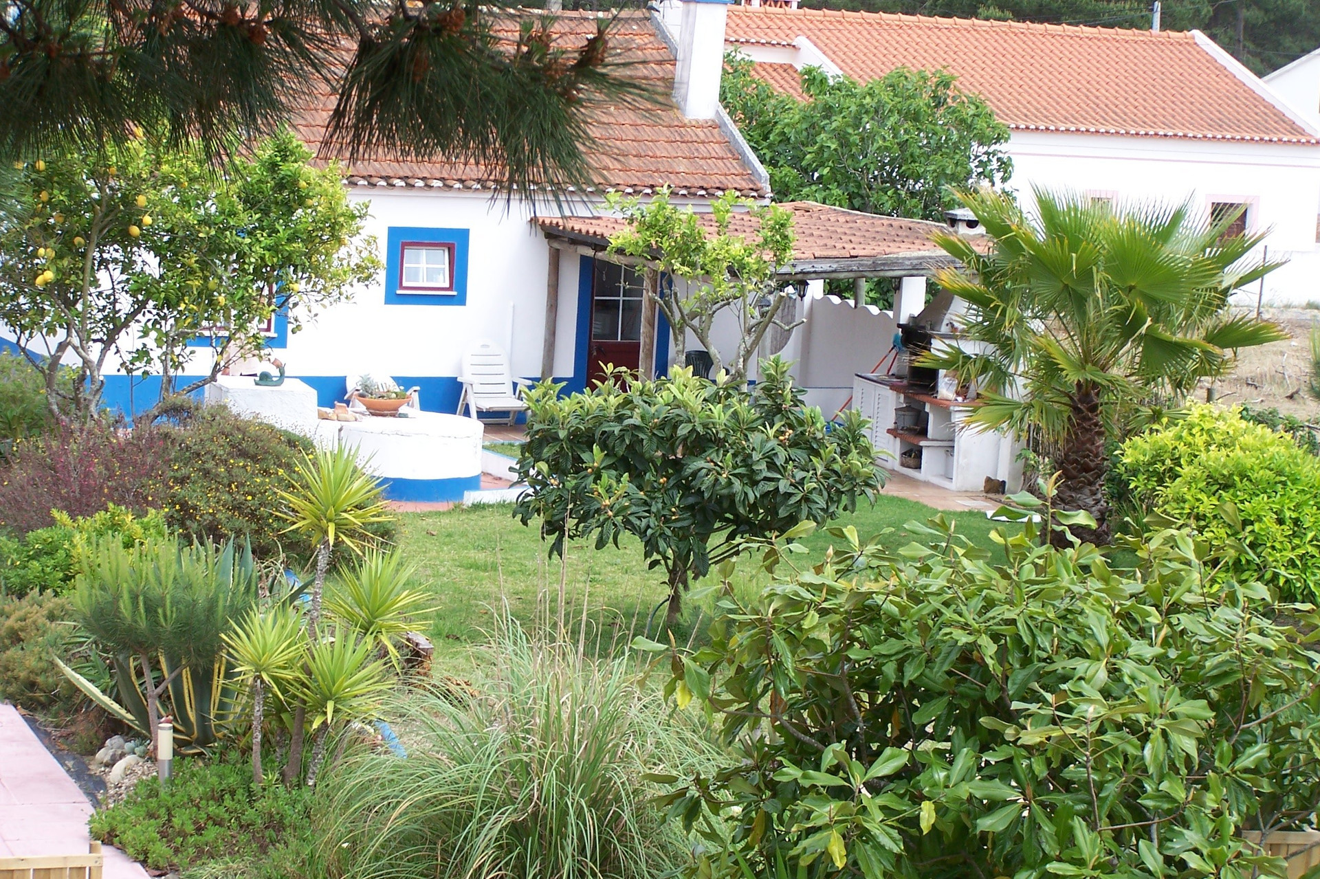 quintal