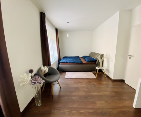 garage1 bedroom+1 livingroom+kitchen -Prague Nusle