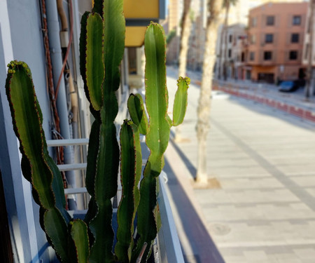 Stylish flat in the centre of Castellón.