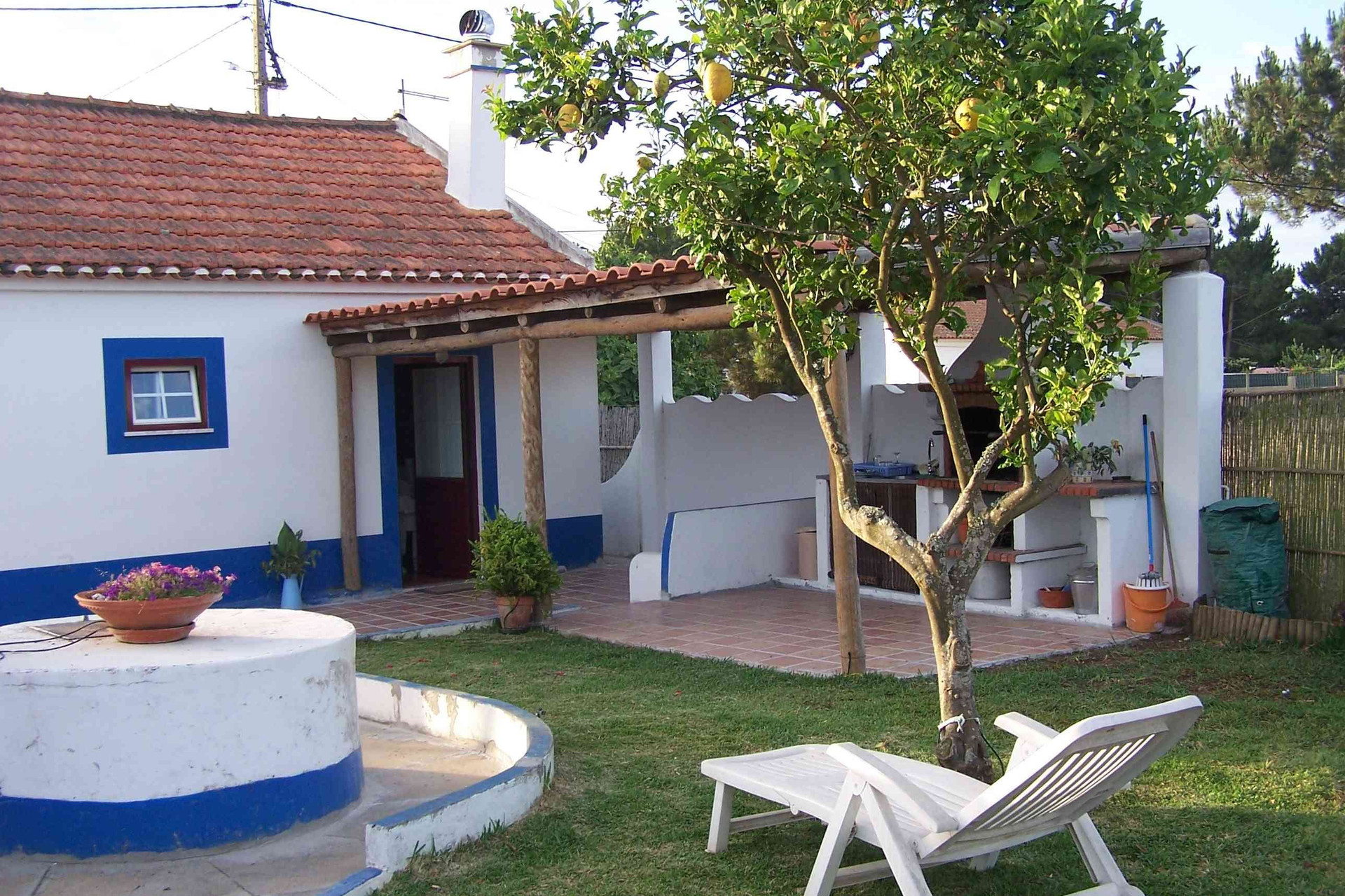 vista tras