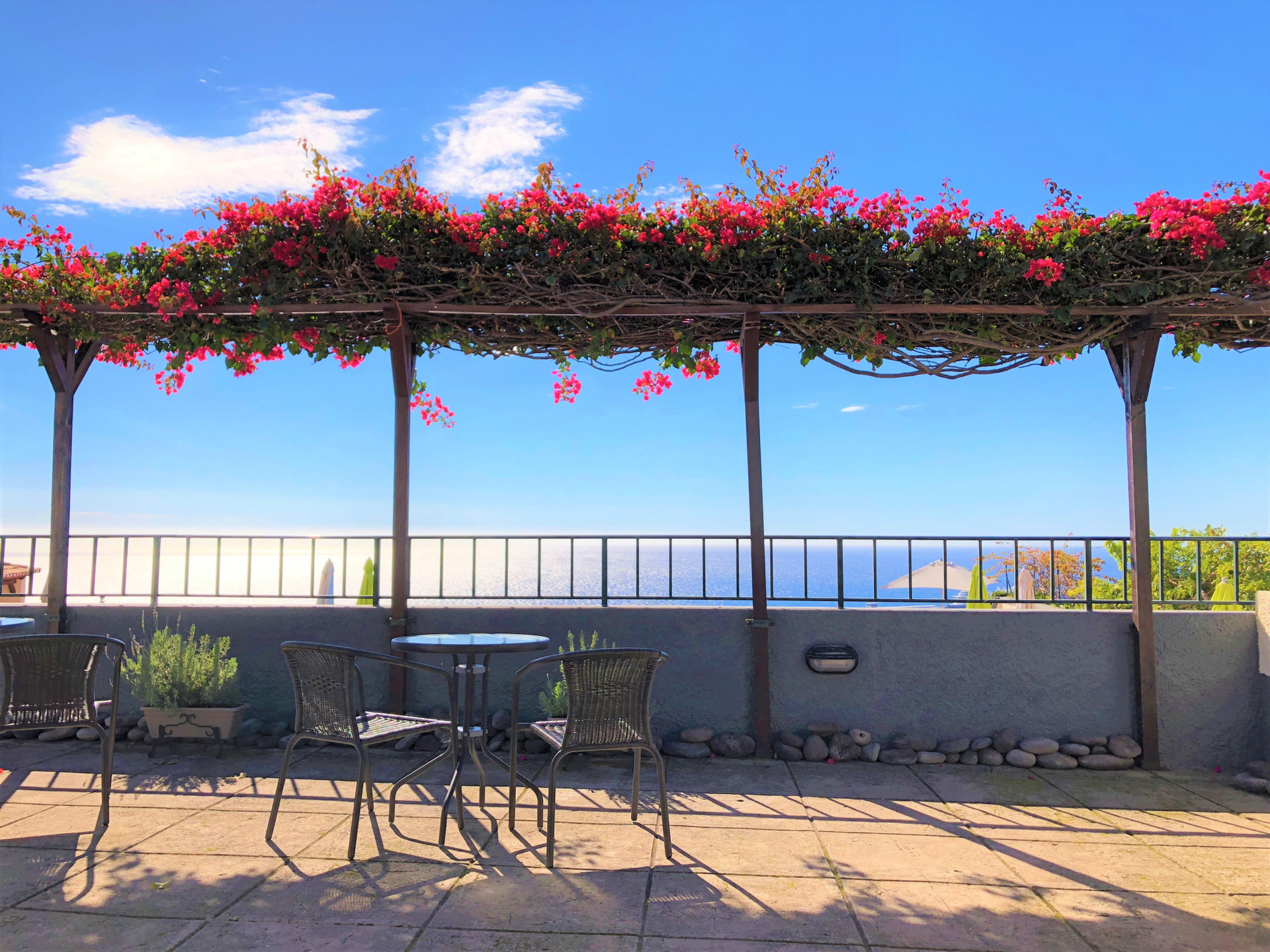 The Quinta's Communal Terrace