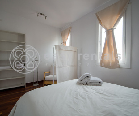 Precious furnished penthouse near Rambla del Raval