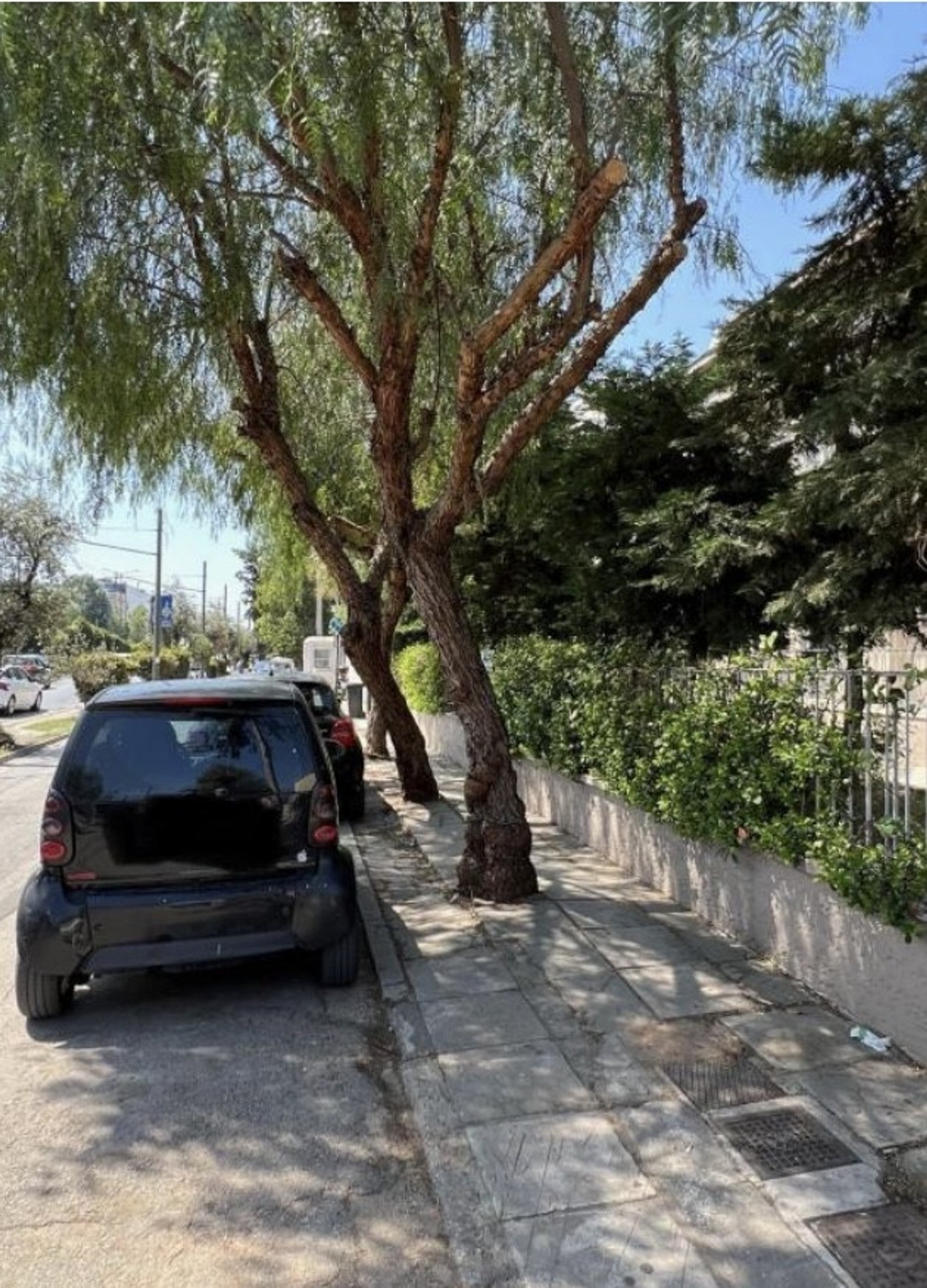 Free parking on the road
