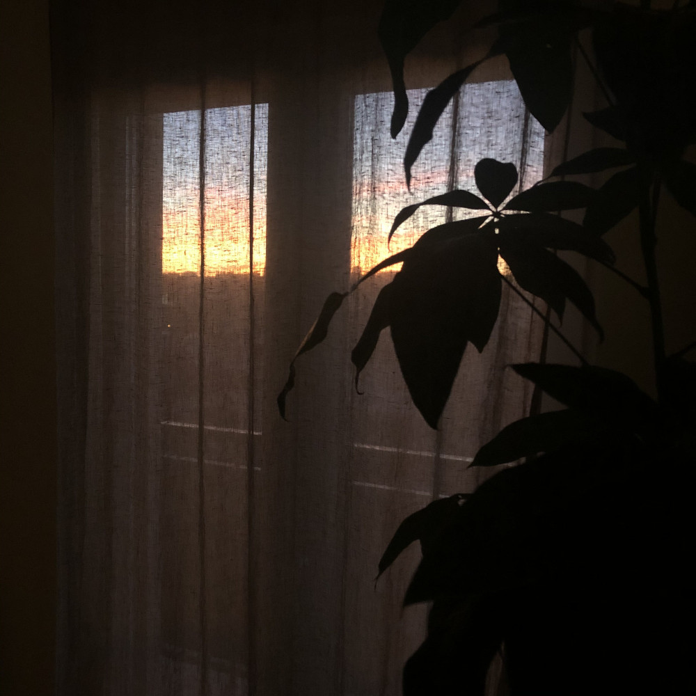 Image #14