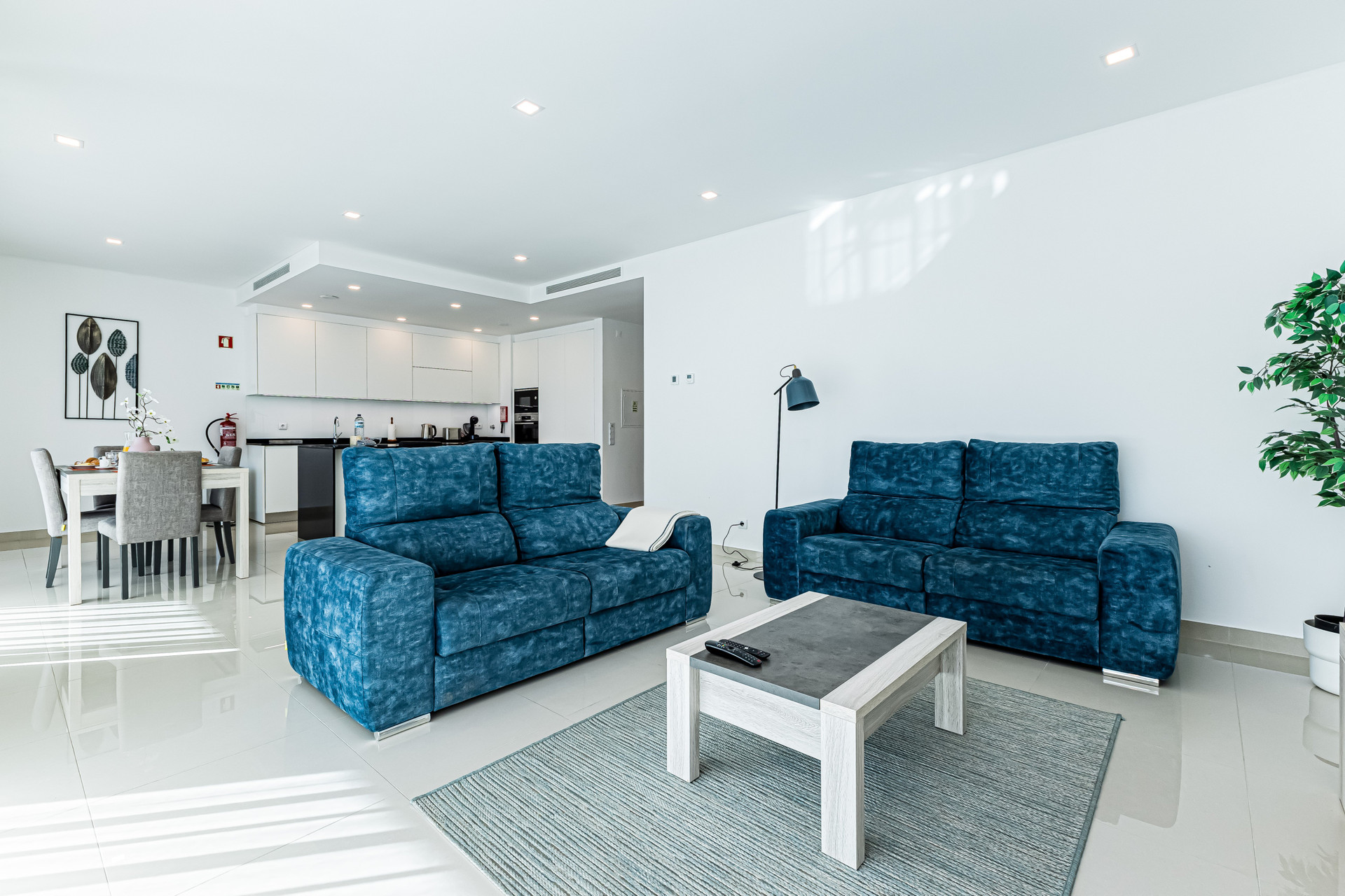 Living room with blue sofas