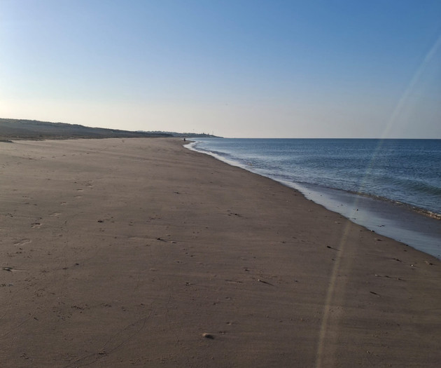 Quiet sandy beach shoreline