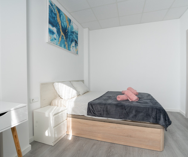 2 Bedroom apartment Valencia center