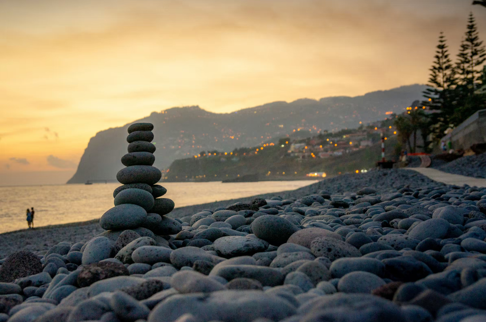 Furnished apartments for rent in Funchal