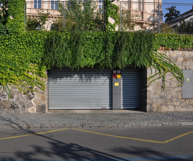 Garage entrance with ivy wall