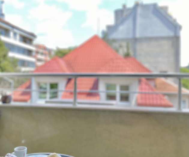 Entire Apartment for 4 Guests in Sofia, Banishora