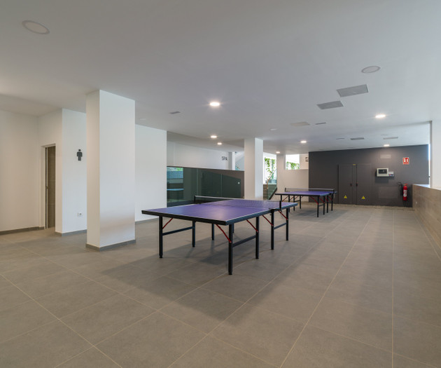 Indoor ping pong recreation area