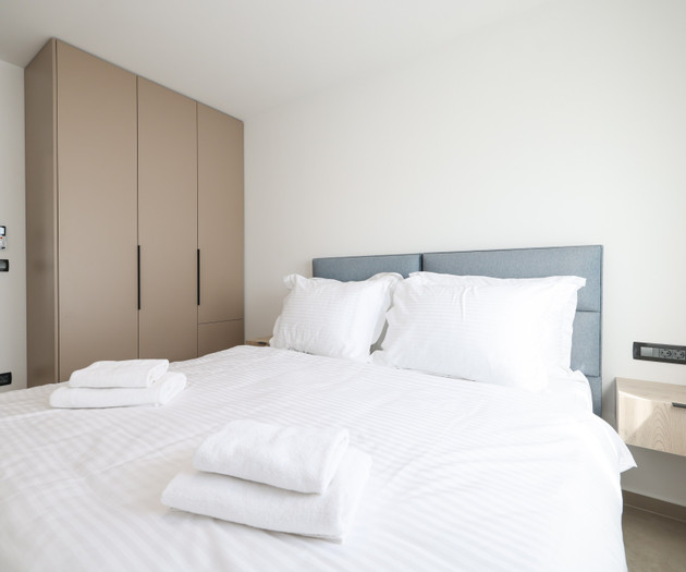 Deluxe apartment VIII