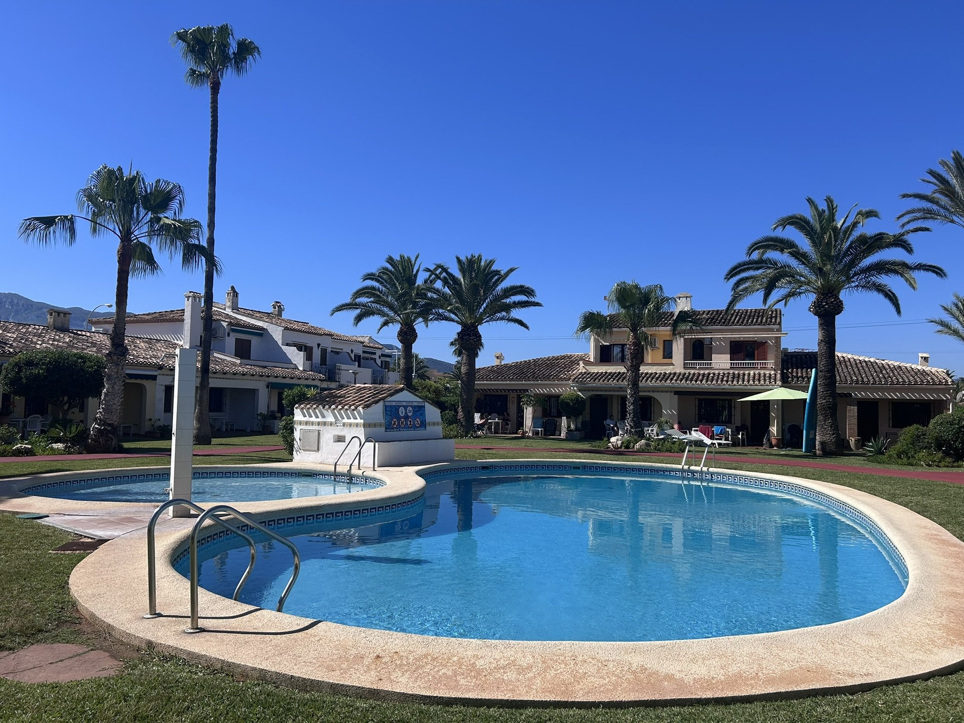 Sunny shared pool surrounded by palm trees and gardens