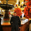 Hamza B.
