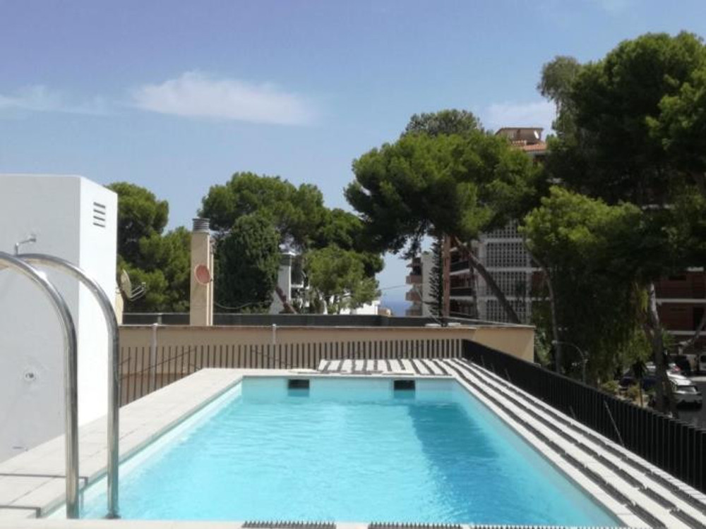Luxury Meets Convenience: Contemporary Apartment i preview