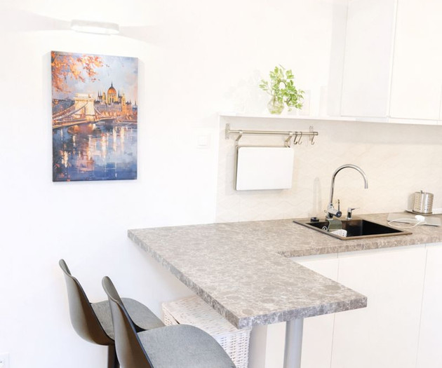 Bright flat with perfect location near Parliament
