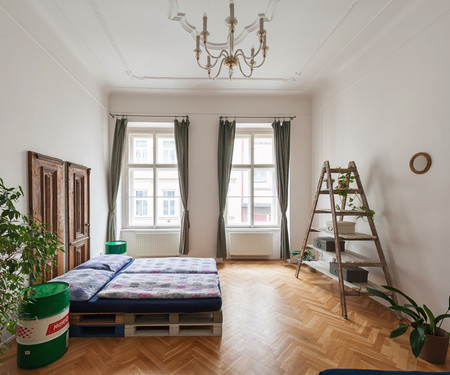 Pokoj v nádherném bytě v centru Prahy