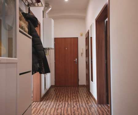 Room in spacious apartment in Letná