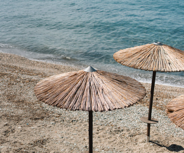 Beach umbrellas by shore