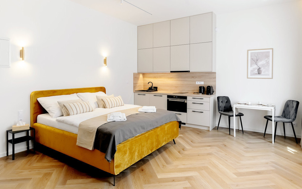 Sunny apt. 1+kk with high ceilings in the center preview