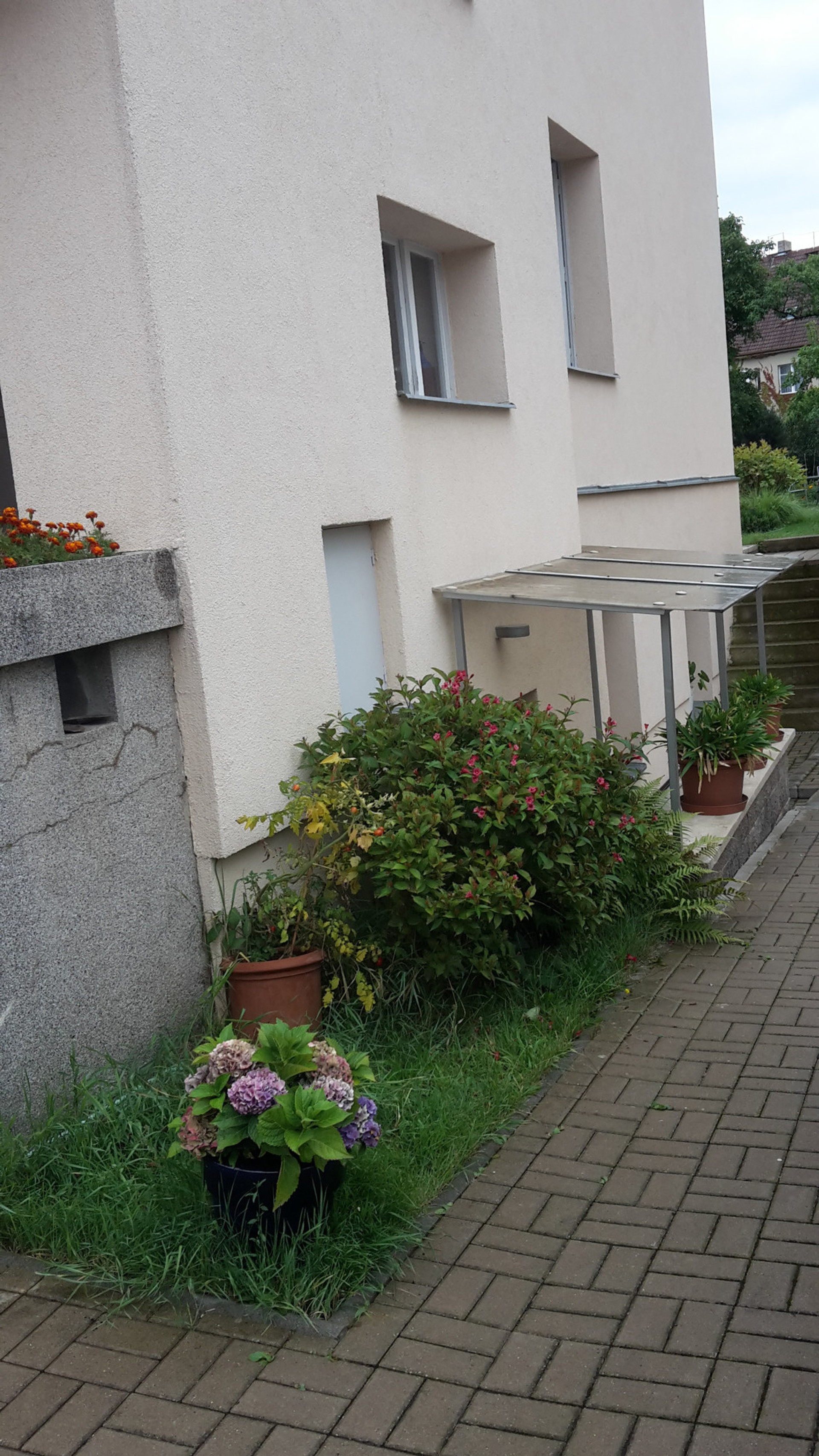 samostatný vchod/own entrance