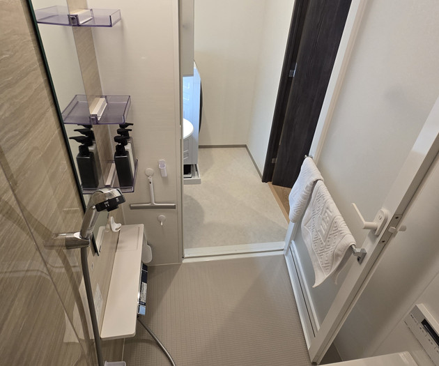 Bathroom entrance and mirror