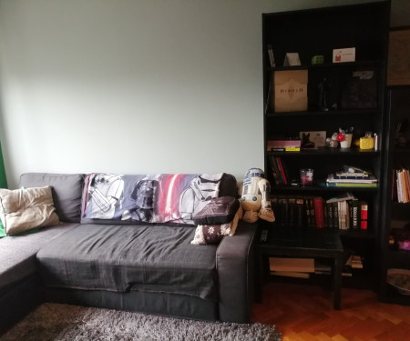 Apartman Mošćenička ulica