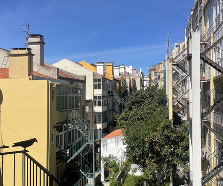 Room in Top Floor Flat in Lisbon