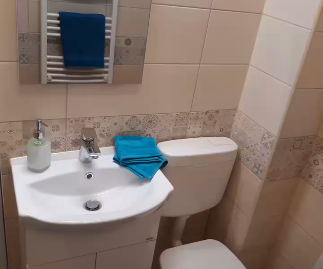 Ostrava flat