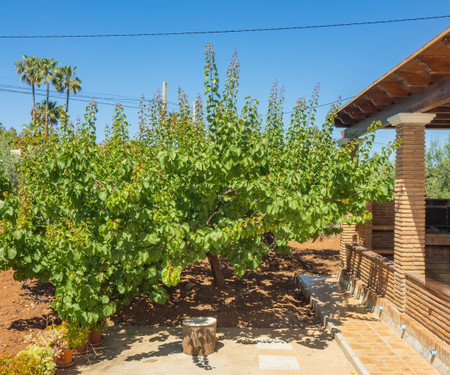 Cubo's Finca Las Tinajas de la Dehesilla