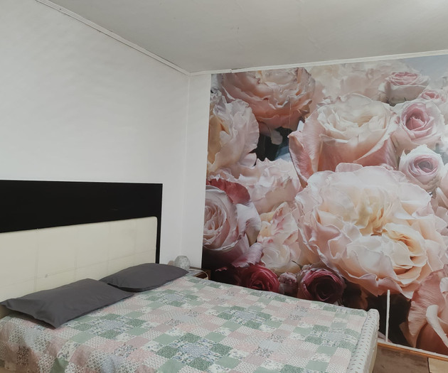 Lakefront Villa near Bucharest/Buftea - 12 Sleeps