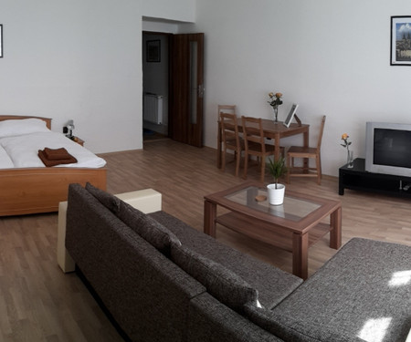 Newly renovated apartment 1+1 in Letná district