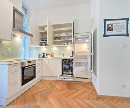 Beautiful and equipped 2 rooms apartment/Vinohrady