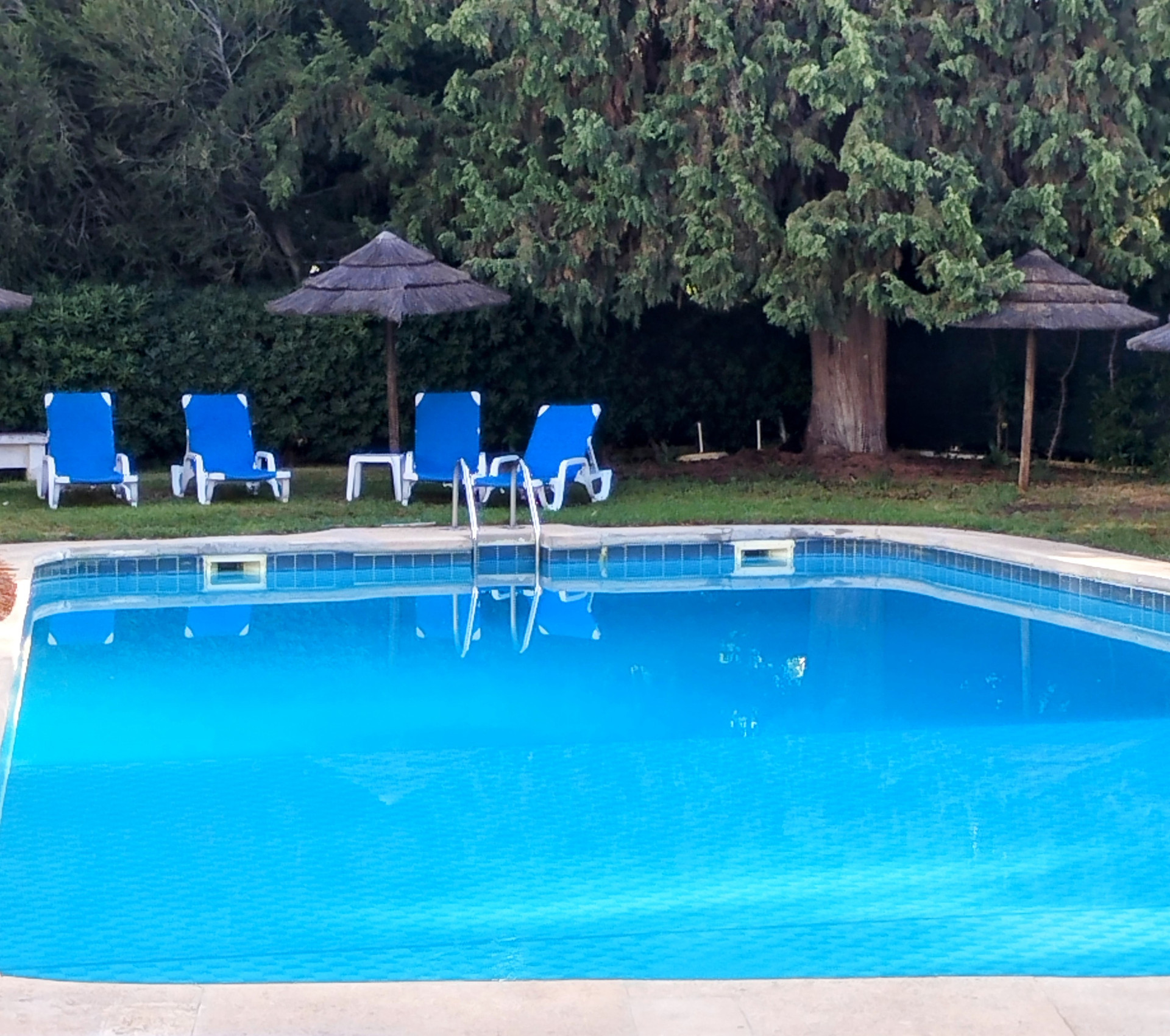 Adult Swiming Poole