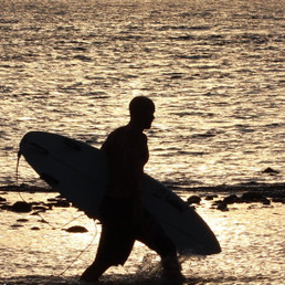 Landlords profile photo