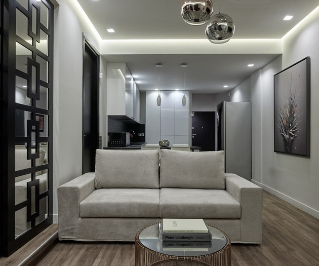 The comfortable sofa