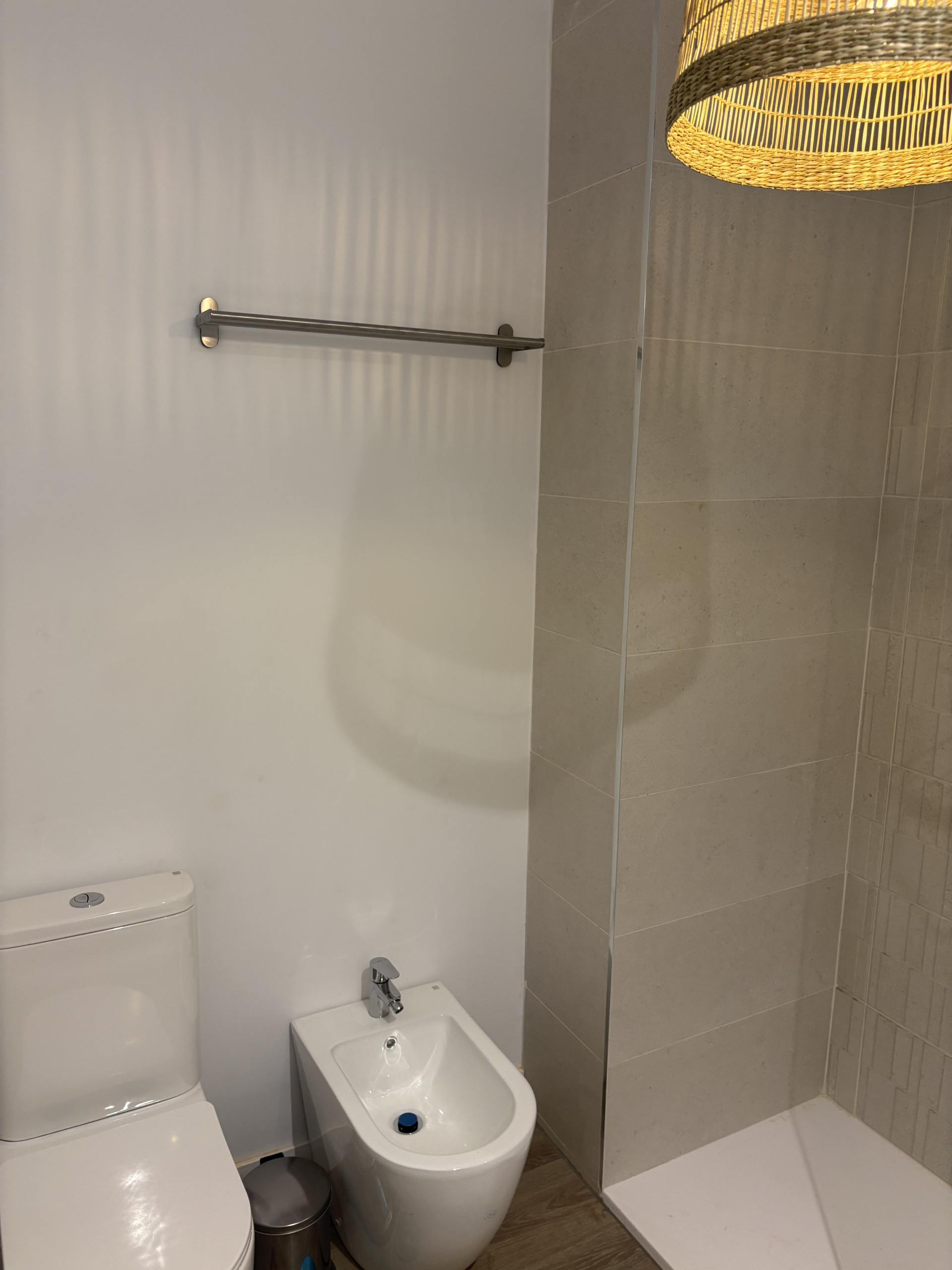 Bathroom bidet and toilet