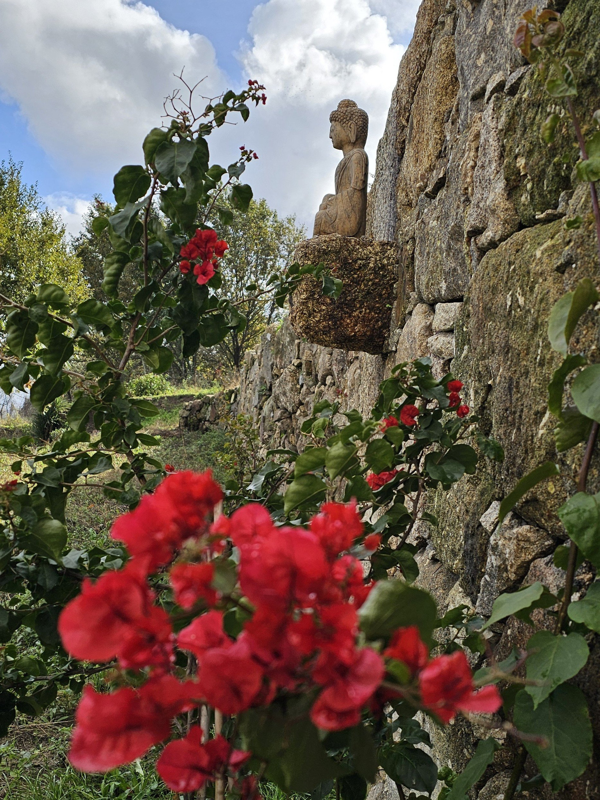 The Garden